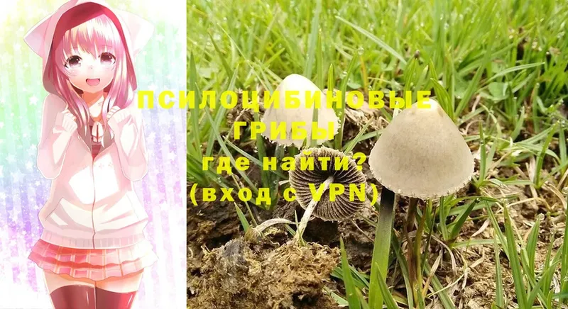 Галлюциногенные грибы MAGIC MUSHROOMS  MEGA ссылка  Новороссийск 